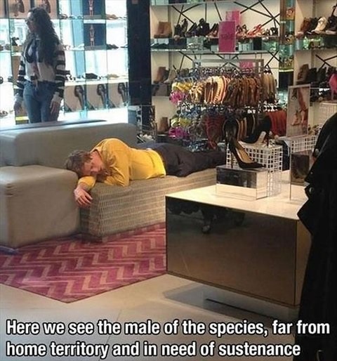 funny-pictures-men-shopping