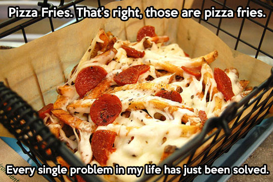 funny-pictures-pizza-fries-problem-solved