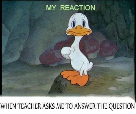 funny-pictures-teacher-asks-me