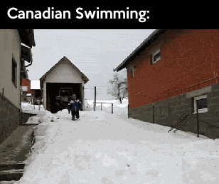 funny-gifs-how-they-swim-in-canada
