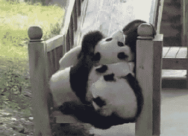 funny-gifs-pandas-slide-cute