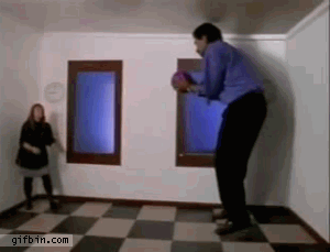 funny-gifs-the-perspective
