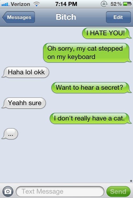 funny-picture-hate-you-cat-secret