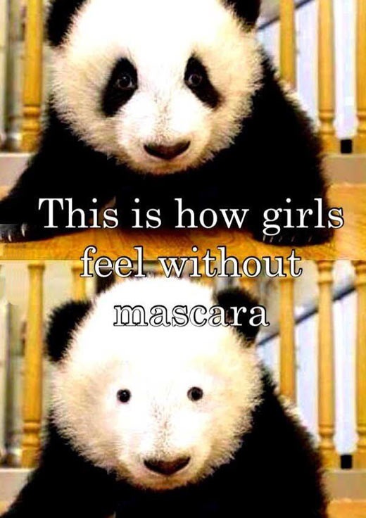 funny-pictures-panda-girls-without-makeup