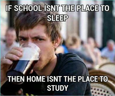 funny-pictures-typical-student