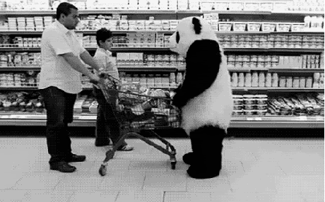 funny-gif-asshole-panda