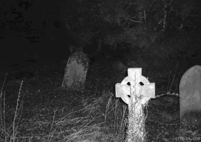 funny-gif-ghost-camera-grave