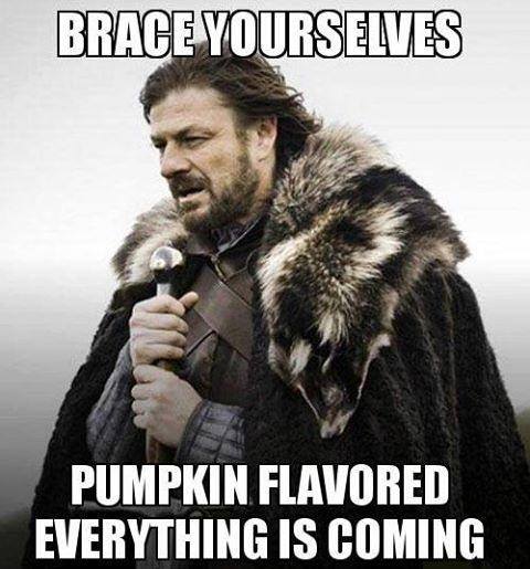 funny-picture-brace-yourselves-halloween-is-coming