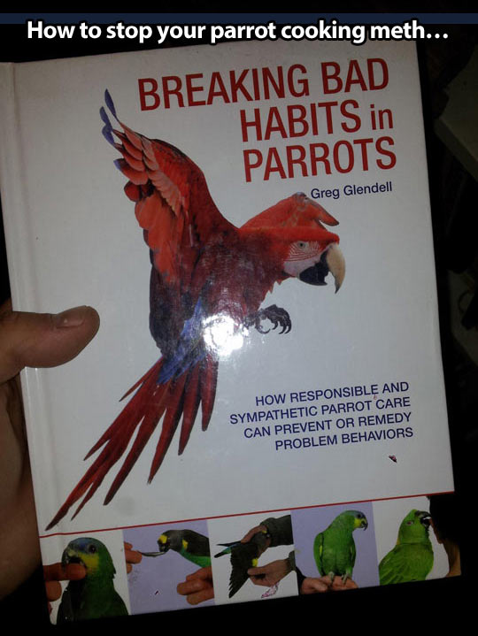 funny-picture-breaking-bad-habits-parrot-book