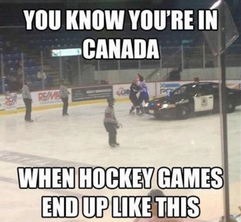 funny-picture-canada-hockey-games-police