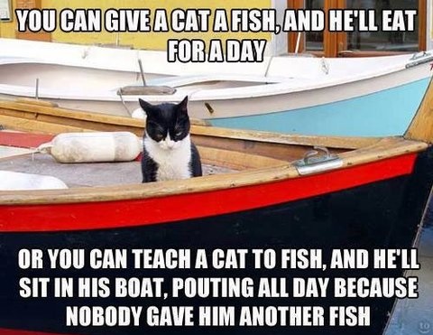 funny-picture-cat-fish-boat