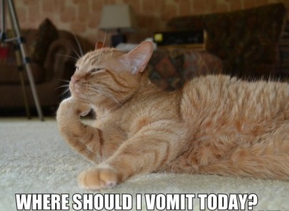 funny-picture-cat-vomit