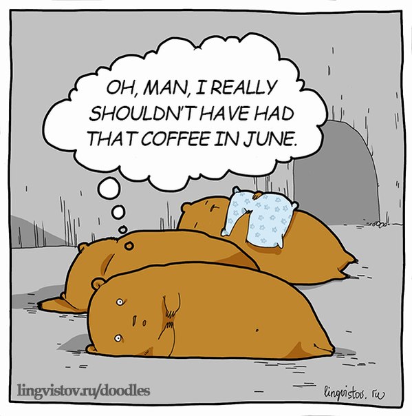 funny-picture-coffe-bear-sleep