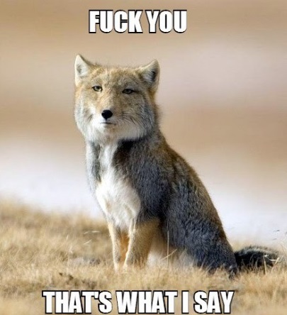 funny-picture-fox-says-fuck-you