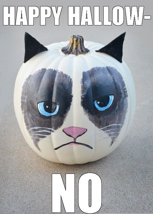 funny-picture-halloween-grumpy-cat