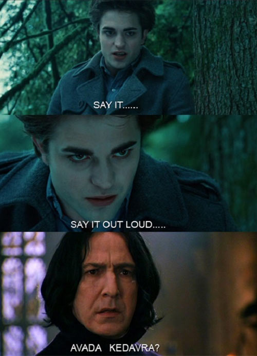 funny-picture-harry-potter-twilight-edward