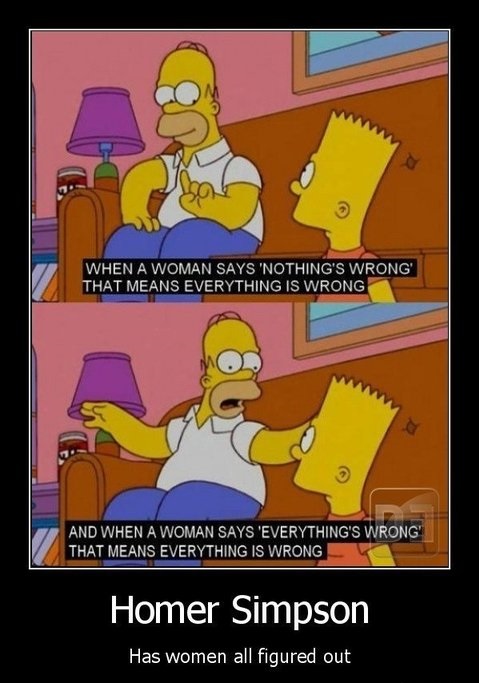 funny-picture-homer-simpson-women-logic
