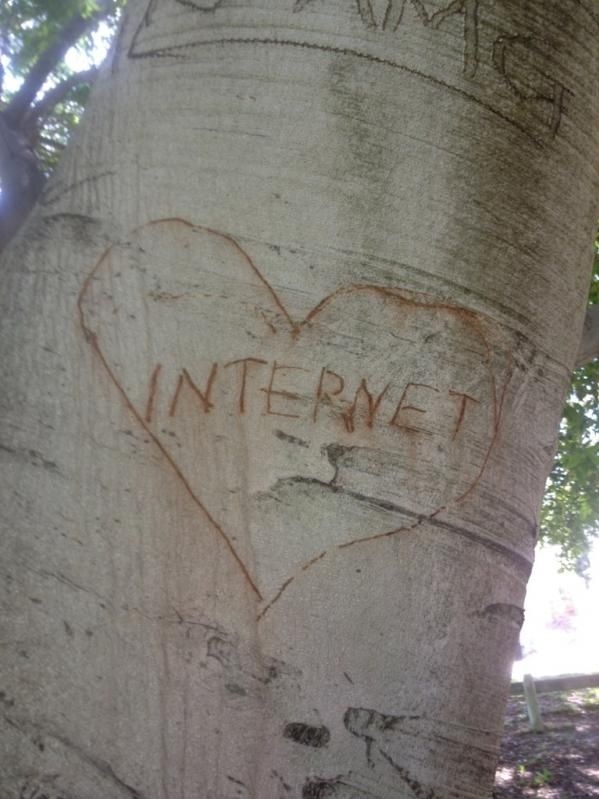 funny-picture-internet-tree-love