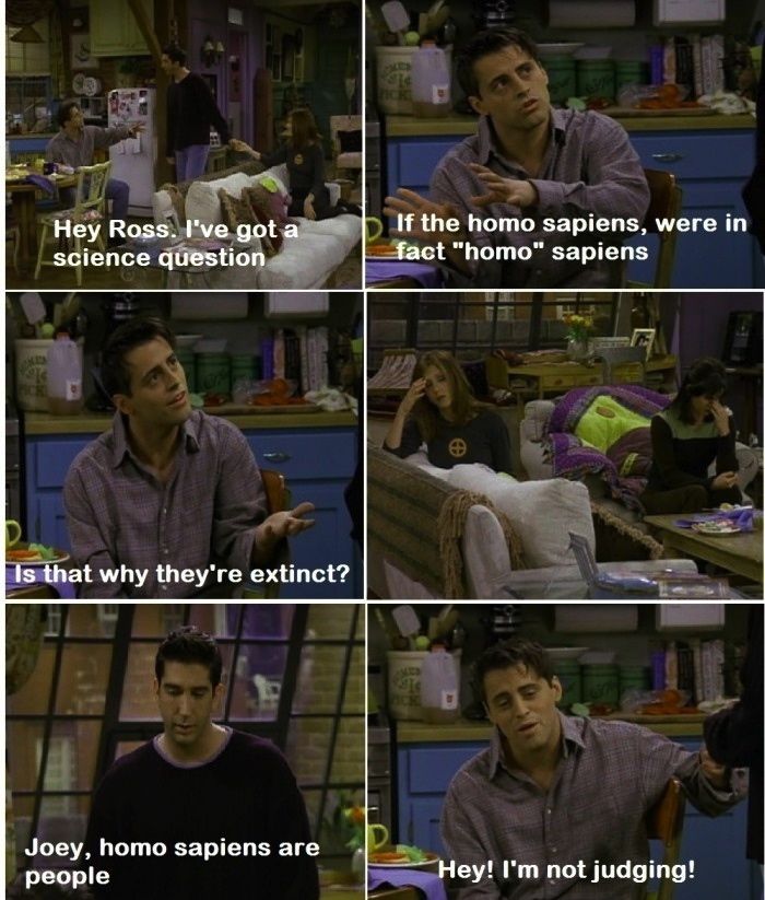 funny-picture-joey-homo-sapiens-friends