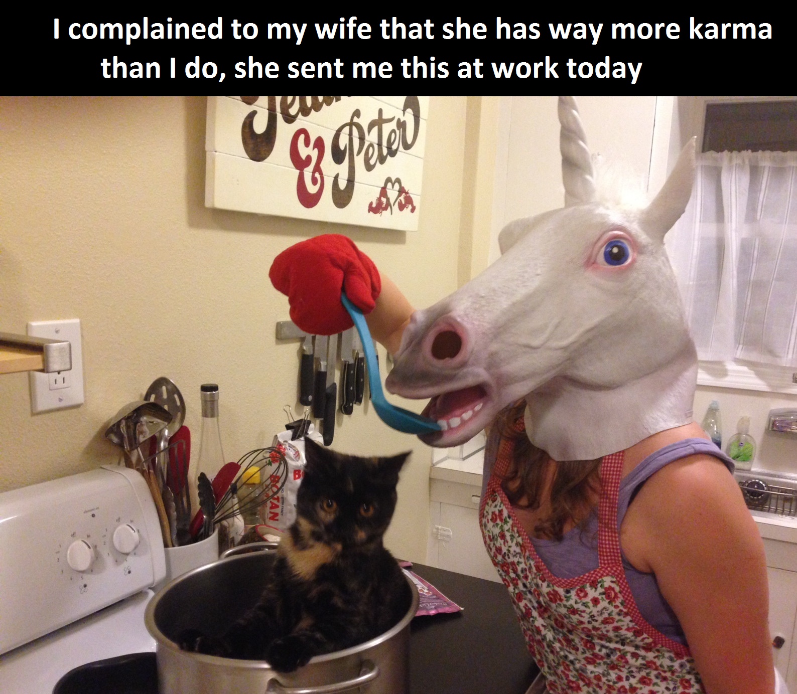 funny-picture-karma-unicorn