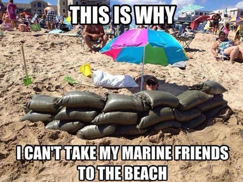 funny-picture-marine-friends-beach