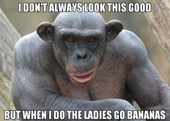 funny-picture-monkey-look-good-banana