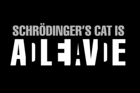 funny-picture-schrodingers-cat-dead-alive