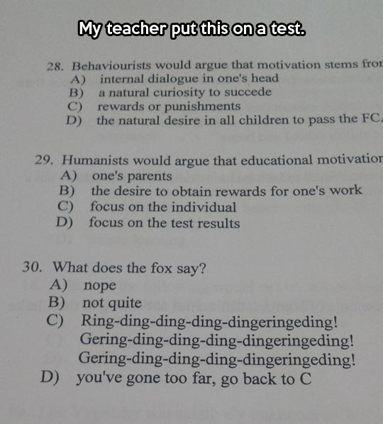 funny-picture-test-exam-fox-say