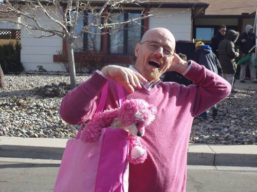 funny-picture-walter-white-pink