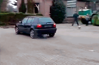 funny-gif-experiment-is-over