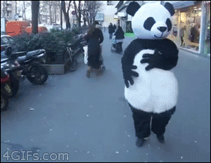 funny-gif-panda-power