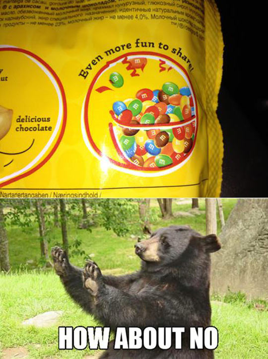 funny-picture-bear-candy-chocolate