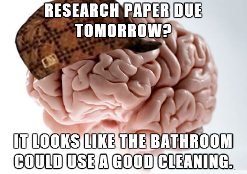 funny-picture-brain-paper-bathroom-cleaning