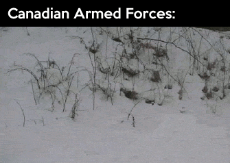 funny-picture-canadian-armed-forces