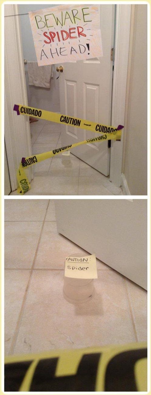 funny-picture-caution-spider
