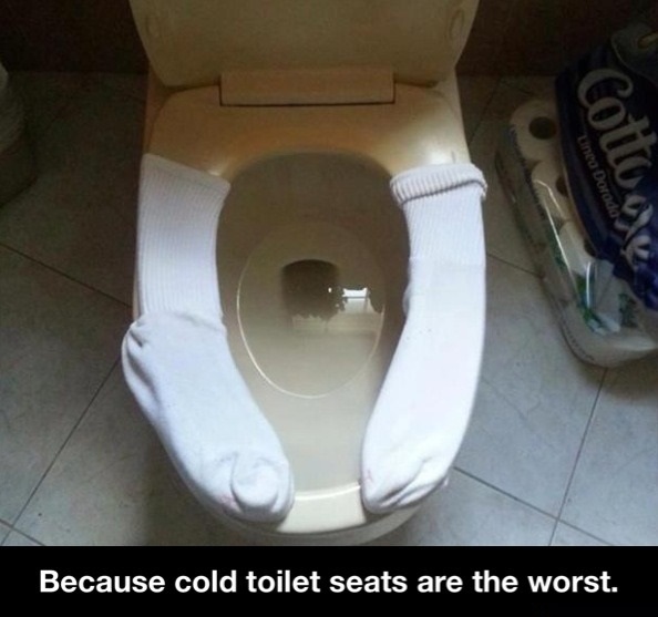 funny-picture-cold-toilet-seat