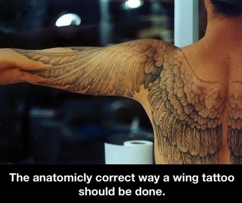 funny-picture-correct-wing-tattoo