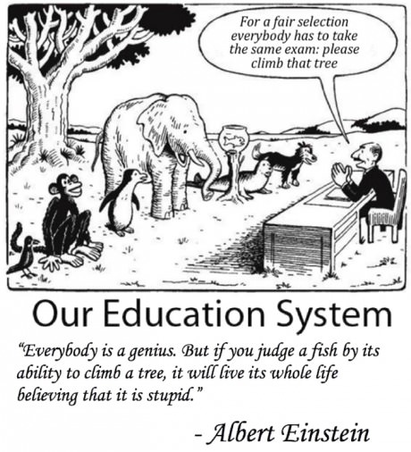 funny-picture-education-system-albert-einstein