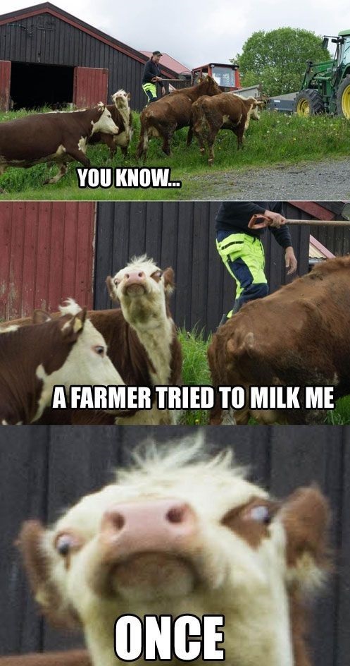 funny-picture-farmer-cow-milk