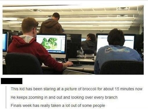 funny-picture-finals-week-broccoli