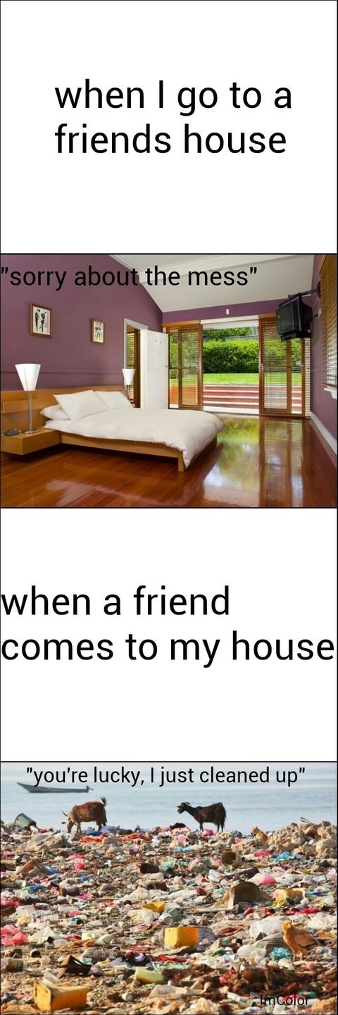 funny-picture-friends-house-dirty