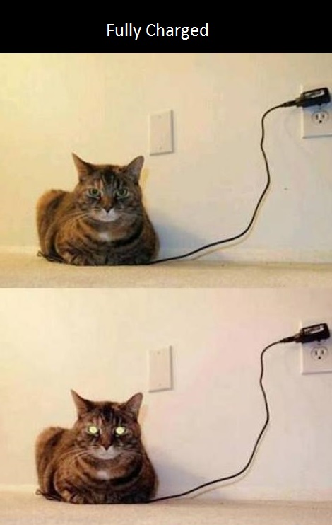 funny-picture-fully-charged