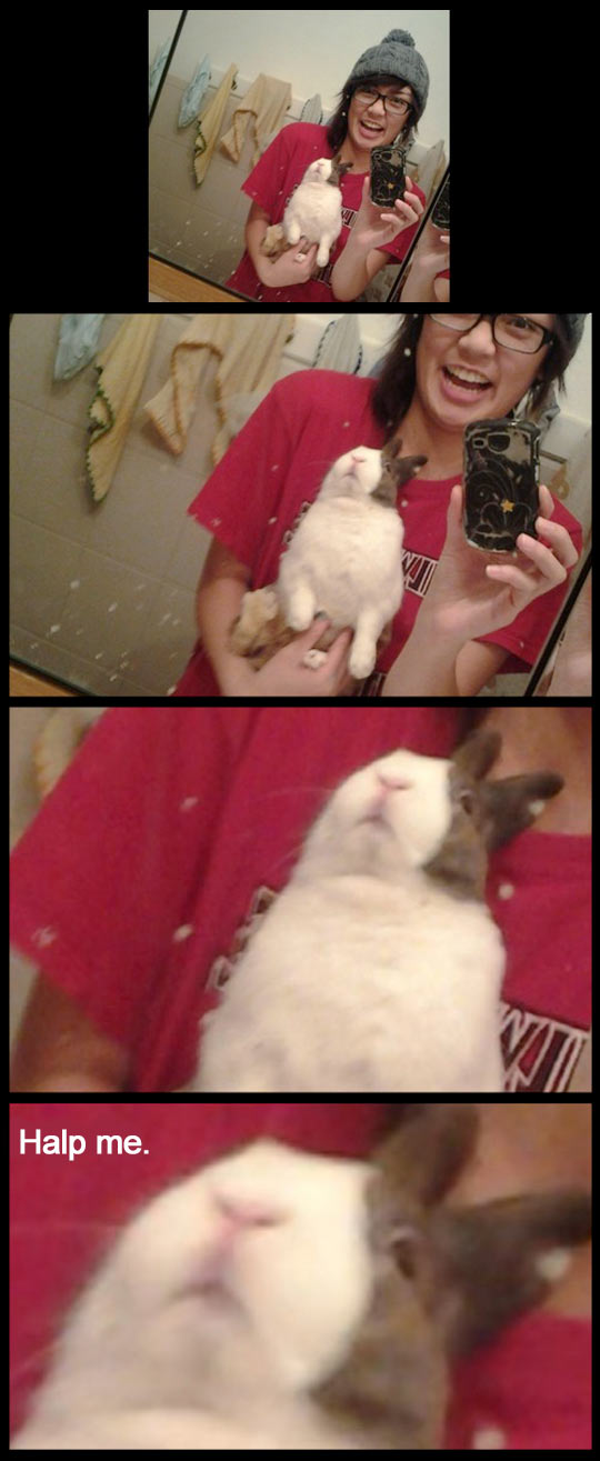 funny-picture-girl-rabbit-mirror-photo