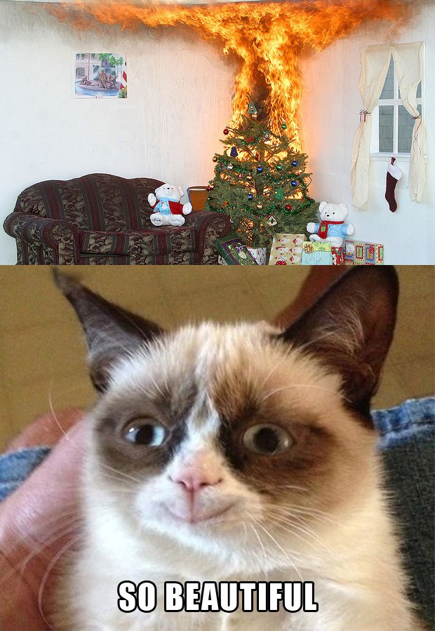 funny-picture-grumpy-cat-new-year-tree-fire