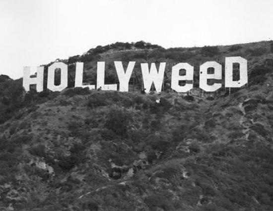 funny-picture-hollywood-weed