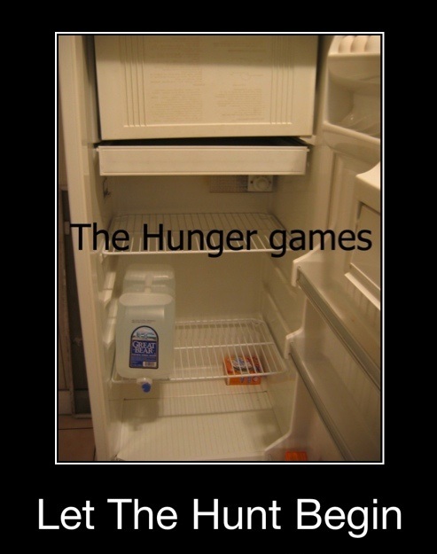 funny-picture-hunger-games-begin