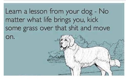 funny-picture-learn-lesson-dog