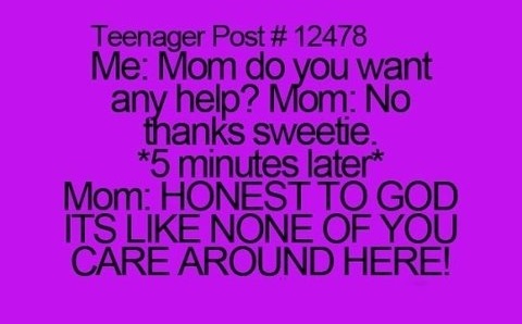 funny-picture-mom-quote