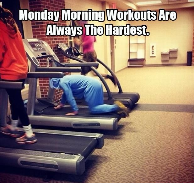 funny picture monday morning workout
