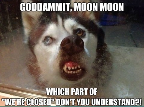 funny-picture-moon-closed-door